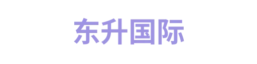 东升国际